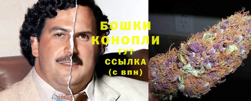 закладка  Майский  Шишки марихуана OG Kush 